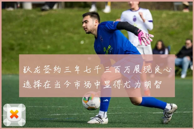 狄龙签约三年七千三百万展现良心选择在当今市场中显得尤为明智