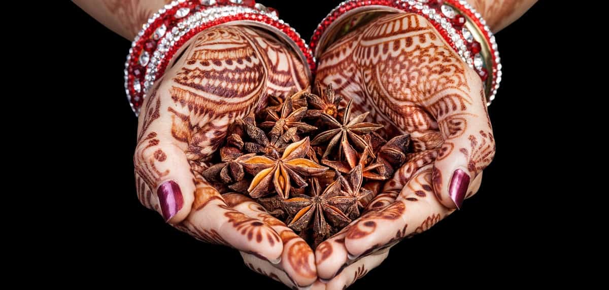 Ayurveda zur Selbstheilung